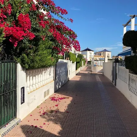 Bungalow In Los Altos * 또레비에하